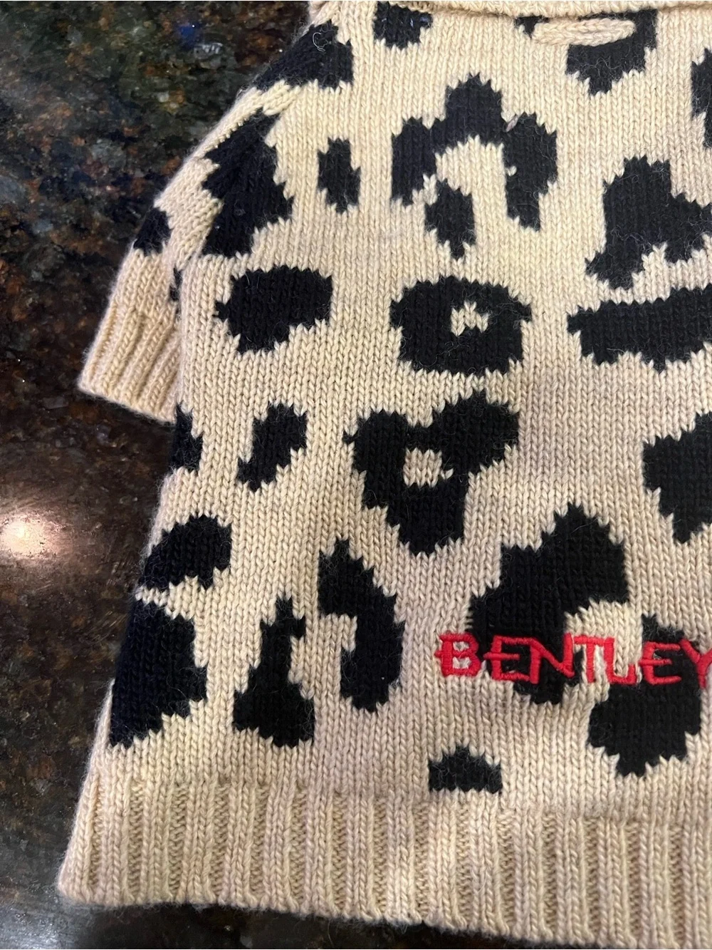 Mark and Graham Personalized Dog Sweater “Bentley”